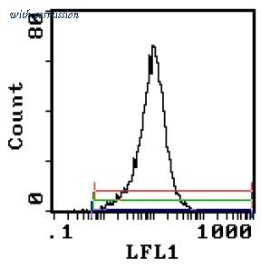 OriGene AM26037BT-N image 1