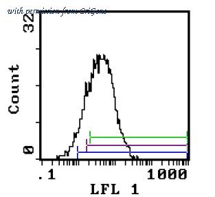 OriGene AM26037LE-M image 1