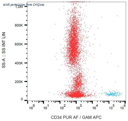 OriGene AM26038AF-N image 1