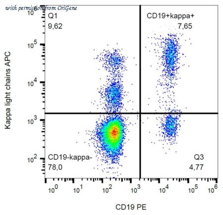 OriGene AM26044AC-N image 1