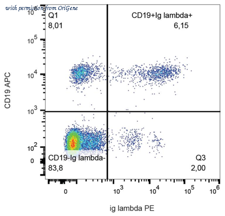 OriGene AM26140PU-N image 1