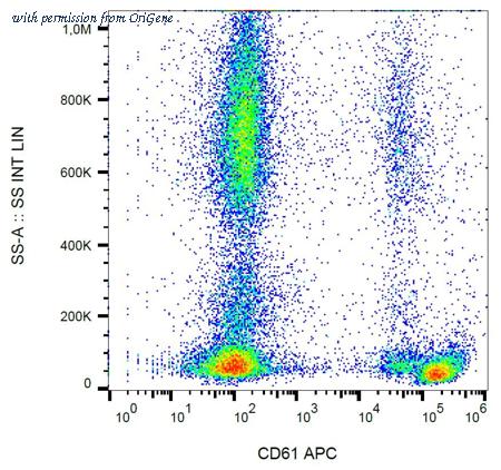 OriGene AM26143AC-N image 1