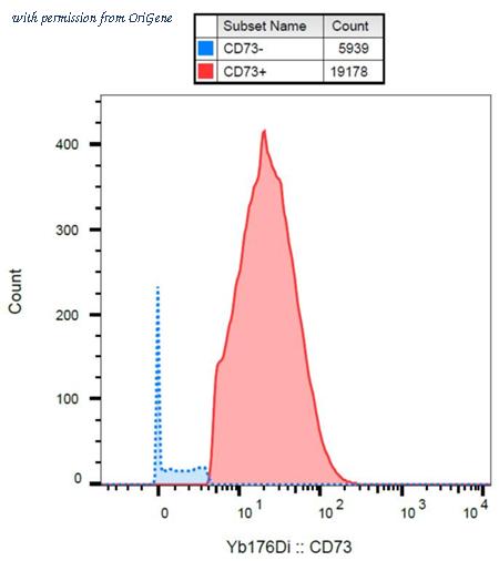 OriGene AM26144PU-N image 1