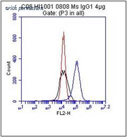 OriGene AM26202PU-N image 1