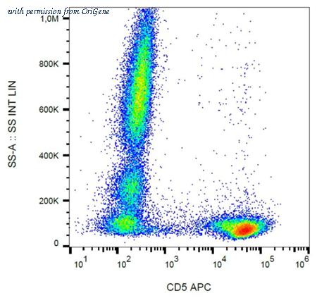 OriGene AM26700AC-N image 1