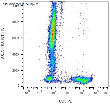 OriGene AM26700RP-N image 1