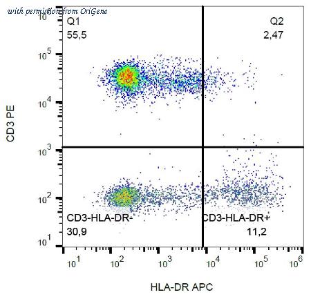 OriGene AM26708AC-N image 1