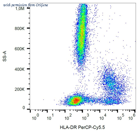 OriGene AM26708FC-N image 1