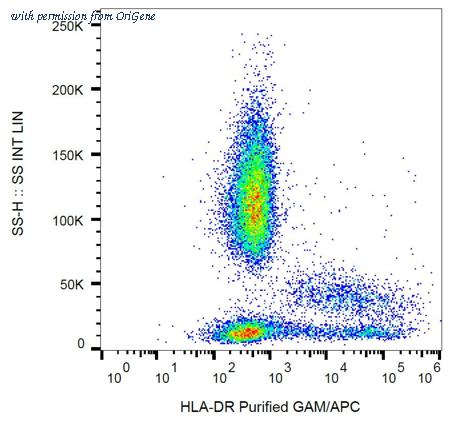 OriGene AM26708PU-N image 1