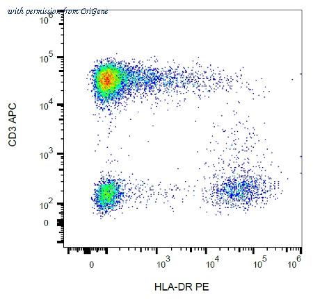 OriGene AM26708RP-N image 1