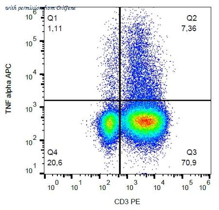 OriGene AM26711AC-N image 1