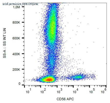 OriGene AM26771AC-N image 1