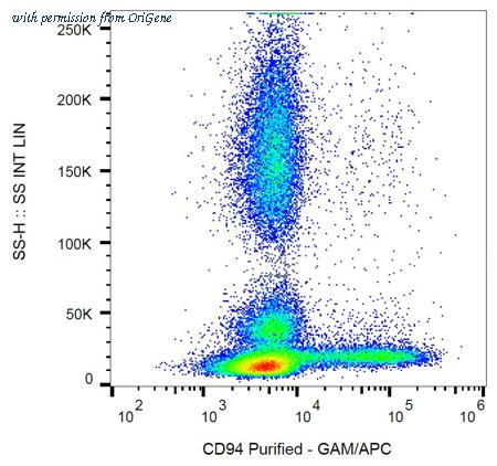OriGene AM26784PU-N image 1