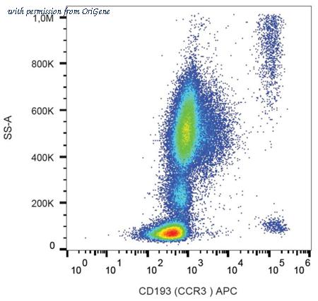 OriGene AM26800AC-N image 1