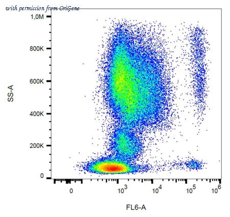 OriGene AM26800PU-N image 1