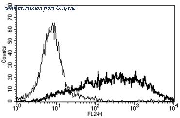 OriGene AM31169BT-N image 1
