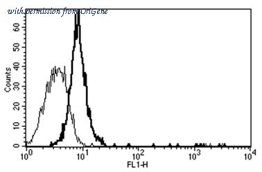 OriGene AM31176AF-N image 1