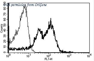 OriGene AM31183FC-N image 1
