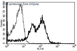 OriGene AM31183PU-N image 1