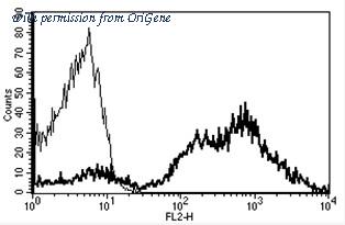 OriGene AM31183RP-N image 1