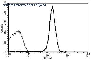 OriGene AM31184PU-N image 1
