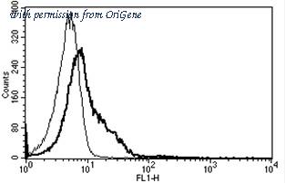 OriGene AM31187FC-N image 1