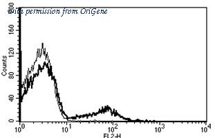 OriGene AM31188RP-N image 1