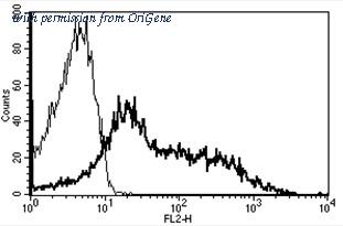 OriGene AM31191RP-N image 1