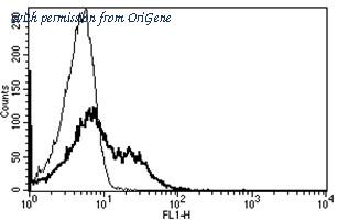 OriGene AM31195FC-N image 1