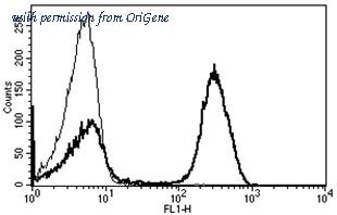 OriGene AM31215AF-N image 1