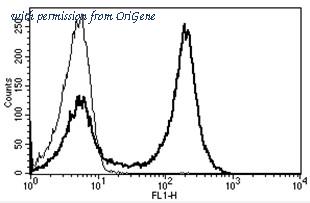 OriGene AM31217PU-N image 1