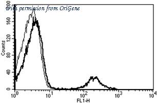 OriGene AM31222AF-N image 1