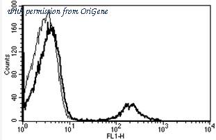 OriGene AM31222PU-N image 1