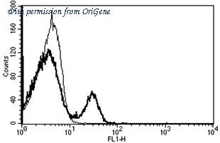 OriGene AM31223FC-N image 1