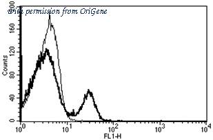 OriGene AM31223PU-N image 1