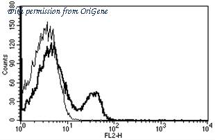 OriGene AM31223RP-N image 1