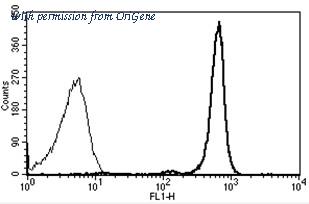 OriGene AM31224FC-N image 1