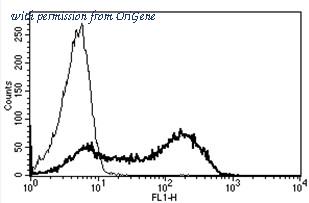 OriGene AM31226AF-N image 1