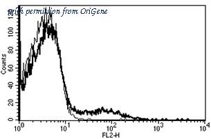 OriGene AM31232RP-N image 1