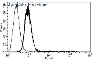 OriGene AM31235AF-N image 1