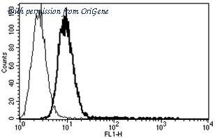 OriGene AM31235FC-N image 1