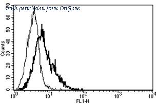 OriGene AM31238FC-N image 1