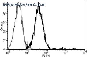 OriGene AM31243AF-N image 1