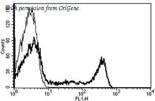 OriGene AM31251FC-N image 1