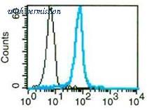 OriGene AM31274FC-N image 1