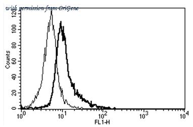 OriGene AM31350FC-N image 1