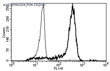 OriGene AM31358PU-N image 1