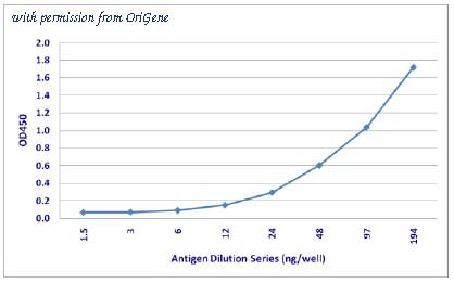 OriGene AM31435PU-N image 1