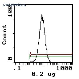 OriGene AM31837PU-N image 1