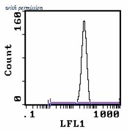 OriGene AM31858FC-L image 1